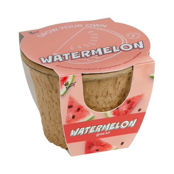 Buzzy Seeds DIY Grow Your Own Watermelon Kit NWT - Picture 1 of 2